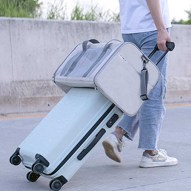 车载猫咪包透气大容量两只猫外出门便携宠物包狗包绝育猫笼子猫窝