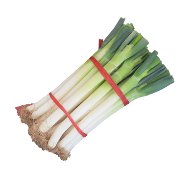 葱叶留四指山东铁杆大葱