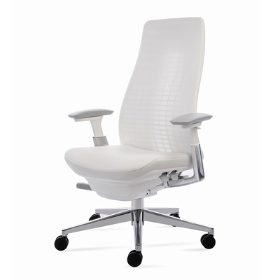 海沃氏人体工学椅独特大箭头面料