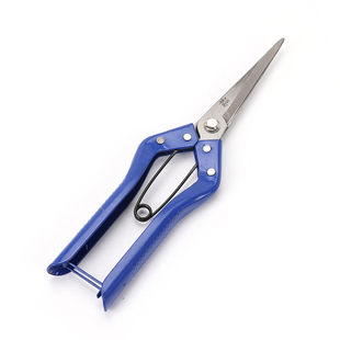 进口采摘水果专用剪刀桔橘稀果子葡萄剪福牌尖头不锈钢耐用不伤手