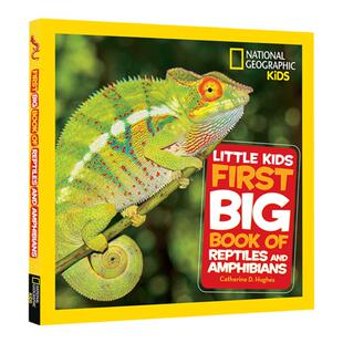 英文原版National Geographic Little Kids First Big Book of Reptiles and Amphibians  美国国家地理儿童百科书青少年科普