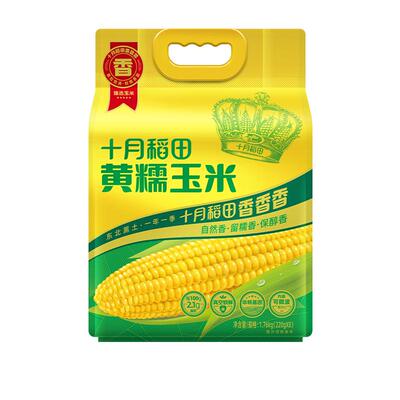25年新玉米十月稻田黄糯玉米8根