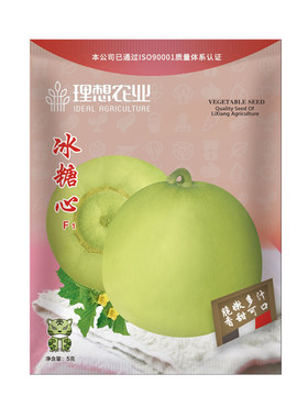 香瓜薄皮甜瓜冰糖种子早熟高产