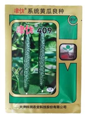 津优409新品种20g春夏秋油亮黄瓜