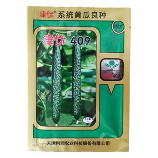津优409黄瓜种子20g春夏秋陆地油亮黄瓜新品种露地天津科润黄瓜籽