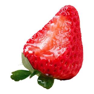 现货丹东草莓新鲜采摘头茬大果甜草莓孕妇水果顺丰包邮99草莓当季