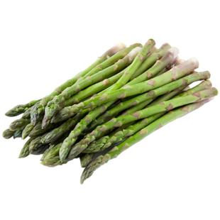 芦笋种子种籽苗带土根盆栽紫色四季种植蔬菜种苗孑高产根苗多年生