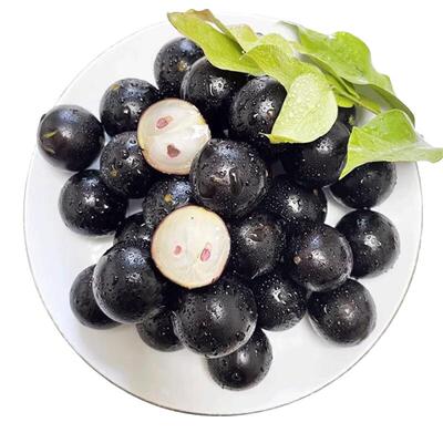 顺丰次日达丨嘉宝果高端珍稀水果