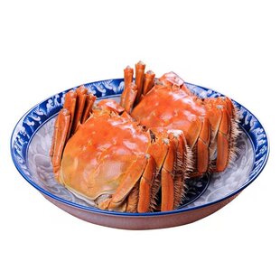 全母40只盘锦河蟹稻田蟹鲜活1一元蟹大闸蟹螃蟹2正宗六月黄活蟹