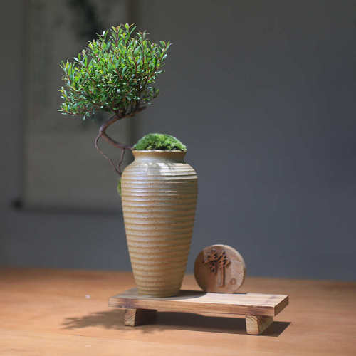 盆景底座盆栽木架底托造型实木桌面摆件创意中式室内迷你小精品