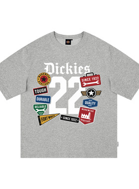 Dickies帝酷适索罗娜凉感短袖T恤男士夏季潮牌字母徽章印花上衣M