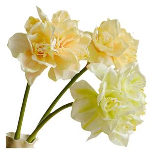 君子兰仿真花朱顶红 绢花假花落地花艺剑兰装饰花客厅酒店摆设花