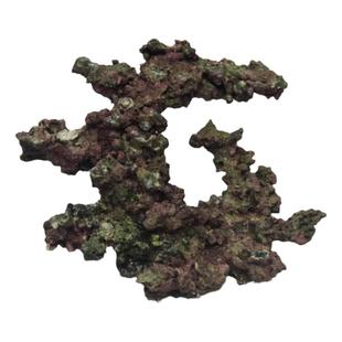 高钙深海活石海水缸造景珊瑚石免爆藻造景胶海水鱼天然新鲜海石头