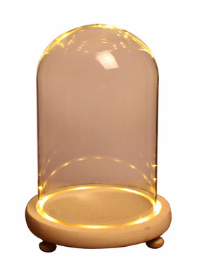 手办防尘罩手办人偶永生花发光