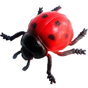 儿童仿真昆虫世界动物模型玩具蝴蝶蜘蛛甲虫瓢虫植物教具认知虫子