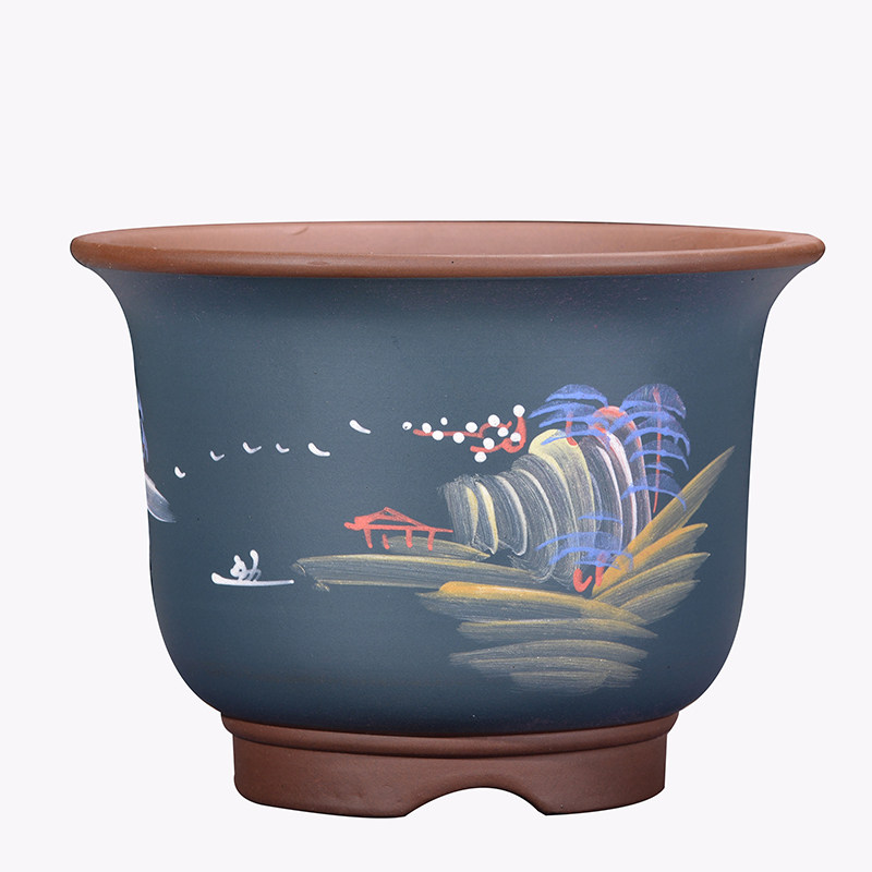 君子兰花卉绿植盆栽多肉紫砂花盆