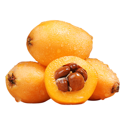 【现摘现发】蒙自枇杷！树上熟