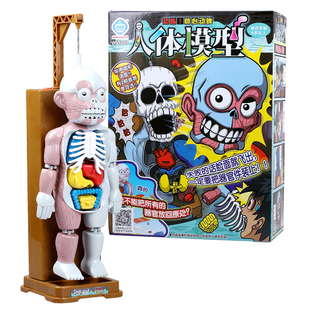 抖音同款神器人体模型玩具儿童搞笑成人恶搞拼装骷髅创意解压器官