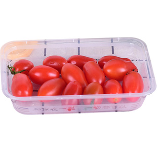 无盖一次性快餐盒500/650/750/1000ML长方形透明塑料饭盒加厚打包