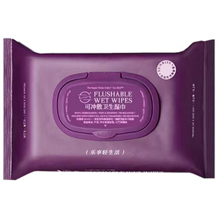 ch22小紫巾湿厕纸便携装家用痔疮可用擦PP女性湿纸巾 1提6包