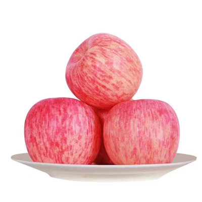 甘肃苹果红富士当季冰糖心10斤精品苹果庆阳苹果脆甜产地直发整箱