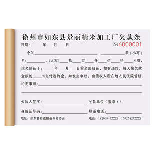 【江苏专用欠款条】商品购货欠条本工资欠款收据赊账拖欠明细清单