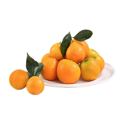 第三代融安脆蜜滑皮小金橘礼盒装