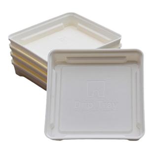 花信呼吸盆托盘树脂沥水托盘方托盘树脂透明方便观察配件