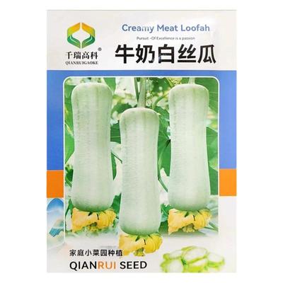 牛奶白丝瓜好吃不易老白皮白肉