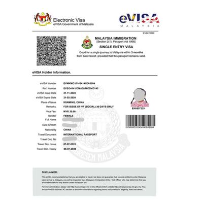 马来西亚·EVISA·移民局网站·马来西亚签证商务电子签证多次往返延期