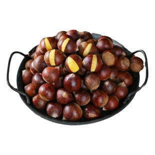 （开好口）建瓯锥栗新鲜生板栗现摘福建带壳油板栗建欧高山生栗子