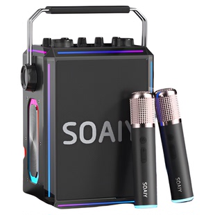 索爱SSK03蓝牙音箱家用k歌音响话筒麦克风户外KTV唱歌广场舞演出