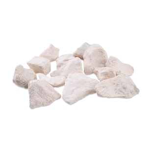 尼特利珊瑚基石生态鱼缸造景石小珊瑚骨滤材保ph值水族过滤净化石