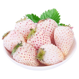 淡雪白草莓礼盒新鲜水果当季孕妇山东奶油白色牛奶大粉色顺丰包邮