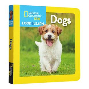 英文原版 National Geographic Kids Look and Learn Dogs 美国国家地理 儿童百科书 儿童启蒙学习 纸板书