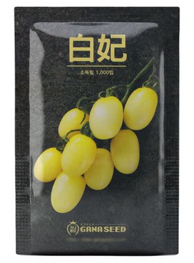 【超甜系列】韩国进口正品白妃小樱桃番茄种子籽孑苗好吃高产高糖