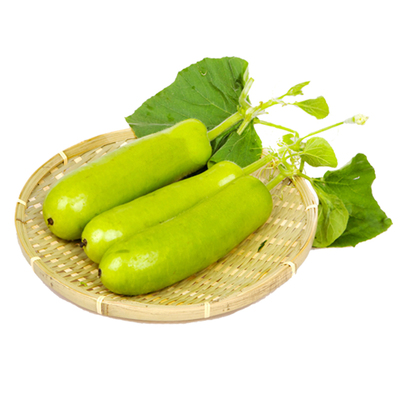 蒲瓜种子蔬菜长瓠子高产农家田园