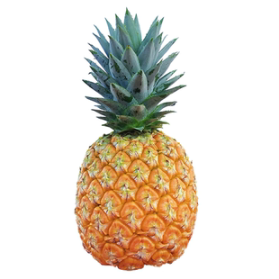 2月上新 树熟现摘酸甜海南台农23金芒凤梨芒果凤梨 8分甜2分酸