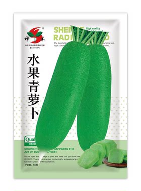 正宗水果青沙窝萝卜种子大全