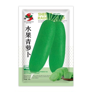 萝卜种子青皮水果萝卜樱桃萝卜沙窝萝卜籽大全白萝卜胡萝卜心里美