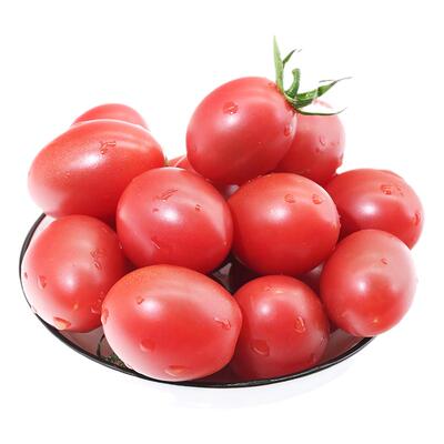 密云新鲜现摘水果西红柿番茄