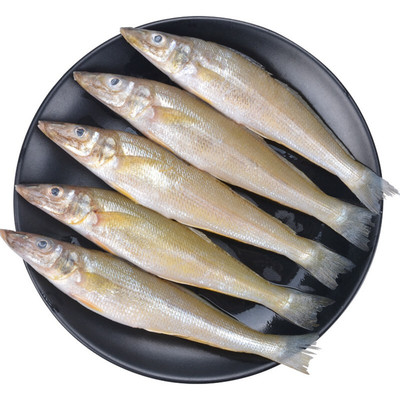 新鲜船冻海捕沙丁鱼宝宝爱吃