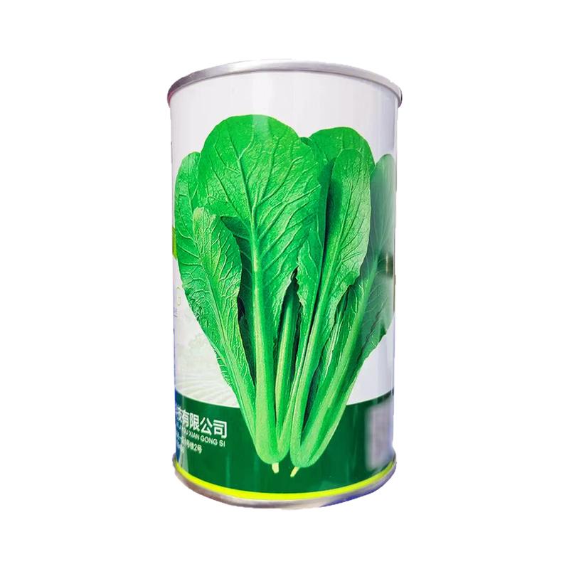 翠绿圆小白菜种籽孑四季蔬菜种子