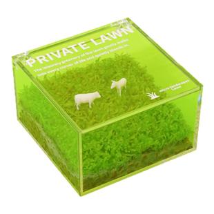 氧植青年一片私人草坪苔藓微景观小摆件造景生态绿植盆栽定制礼物