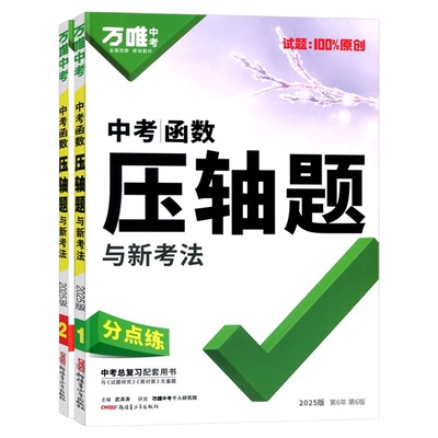 2026新版现货！中考数学压轴题