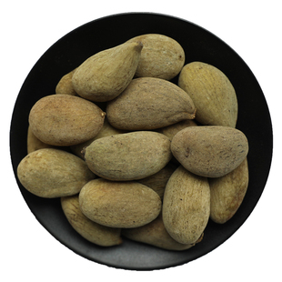 五倍子中药材五贝子五蓓子五培子百虫仓敏感非野生干货搭蛇床子粉