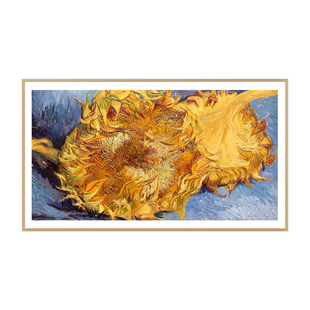 1元预约锁定抢【80台AI闺蜜机】 创维壁纸电视A7H Pro 虚拟发货