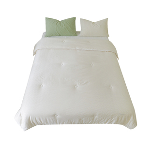 泡个豆奶浴 55%大豆纤维正版李官奇A类春秋保暖被芯冬季加厚被子