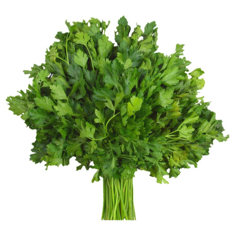 山东香菜种孑寿光大叶芫荽种子春四季阳台蔬菜盆栽香菜籽种老品种