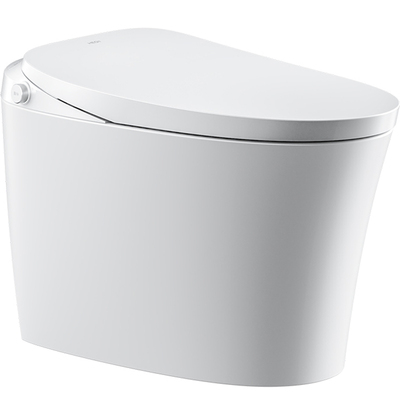 恒洁轻智能泡沫盾脚感冲i300